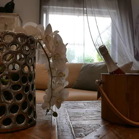 Luxueux à 100m De La Appartement