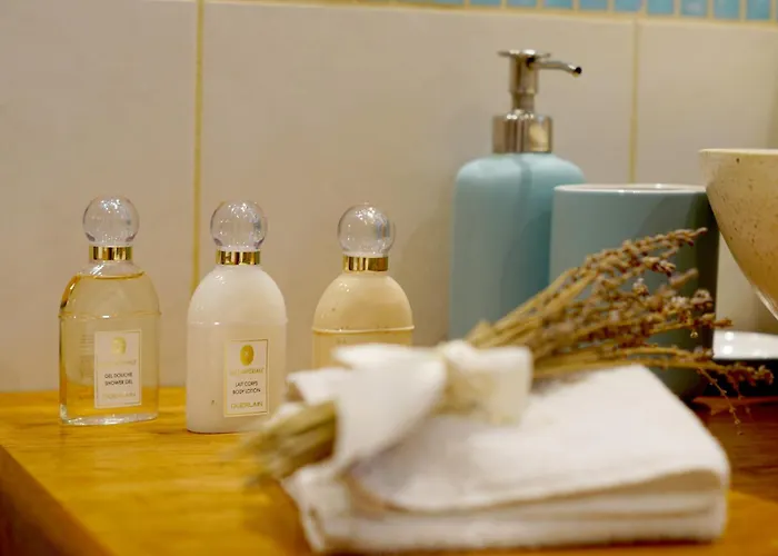 Solenzia, Luxueux A 100m De La Saint Tropez